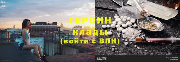 ПСИЛОЦИБИНОВЫЕ ГРИБЫ Вяземский